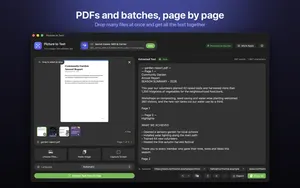 Picture to Text reading a multi-page PDF page by page